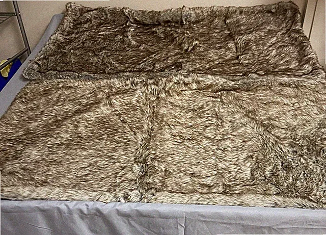 Ellery Homestyles Faux Fur Acrylic Blend Shams Set of 2 Very Soft!